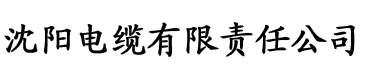 叔叔的变身药水(电缆厂logo